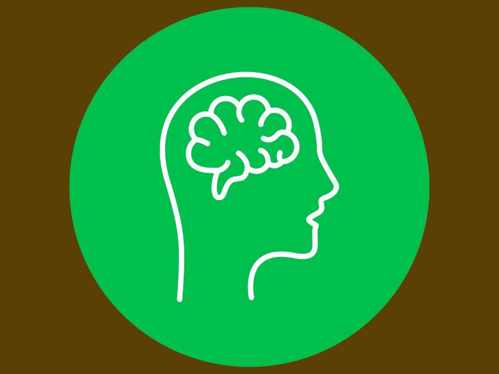 Τι μας λέει η νευροεπιστήμη για τον εφηβικό&nbsp;εγκέφαλο